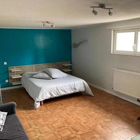 Appartement En Rez-De-Chaussee De Maison Montanay エクステリア 写真